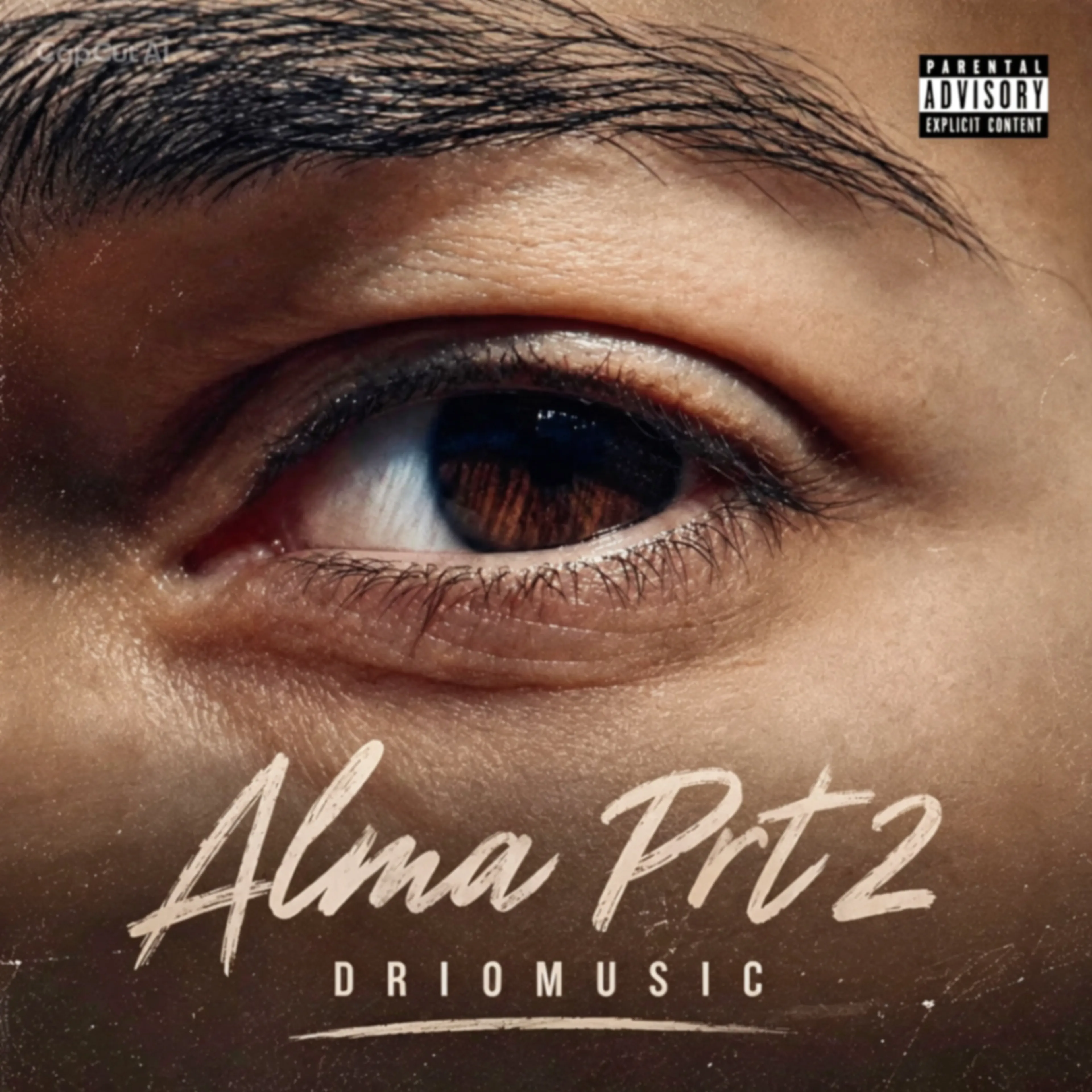 DRIOMUSIC
