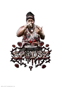 SP@D3Z profile
