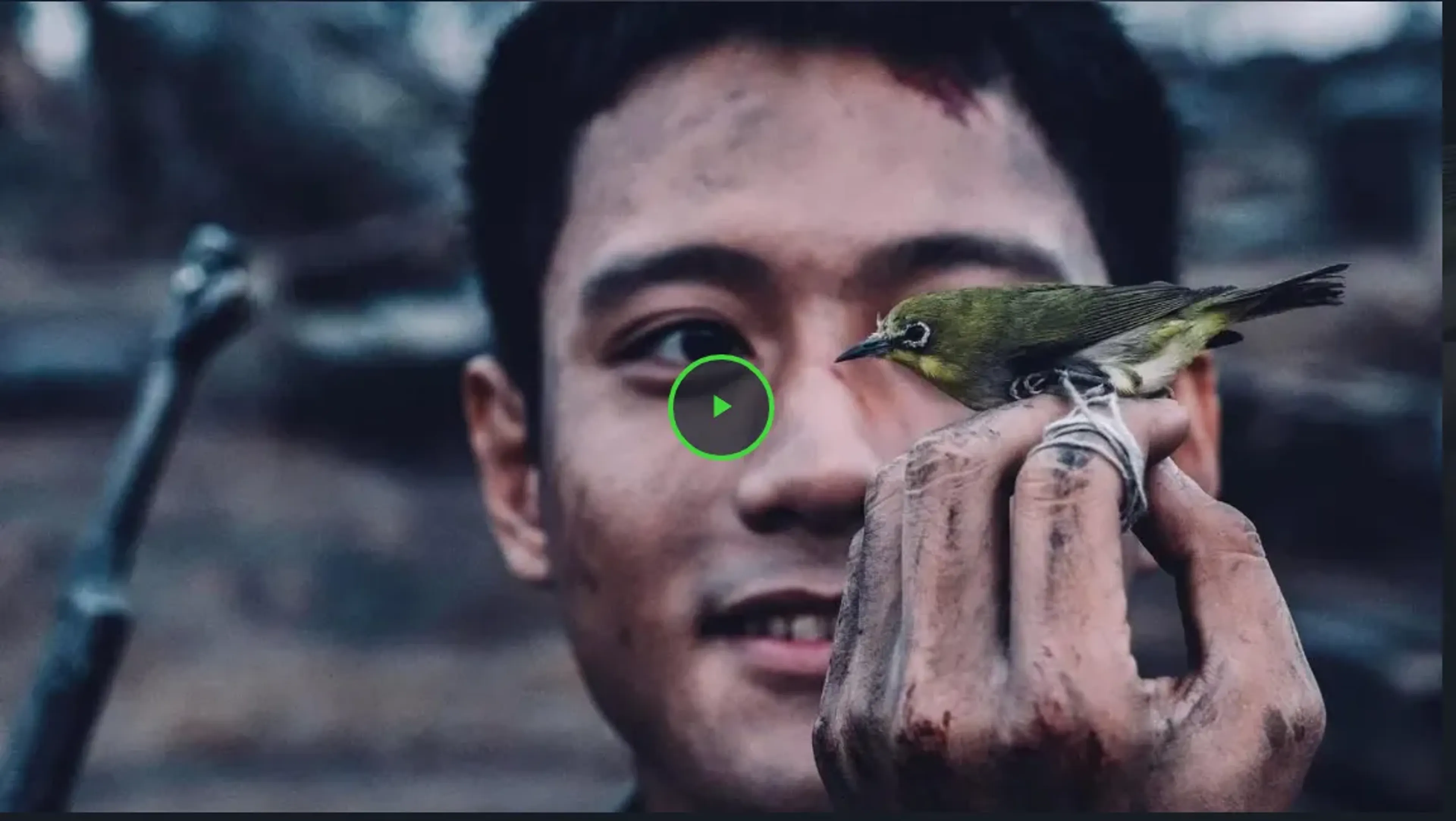 Mưa Đỏ (2025) Vietsub Full HD